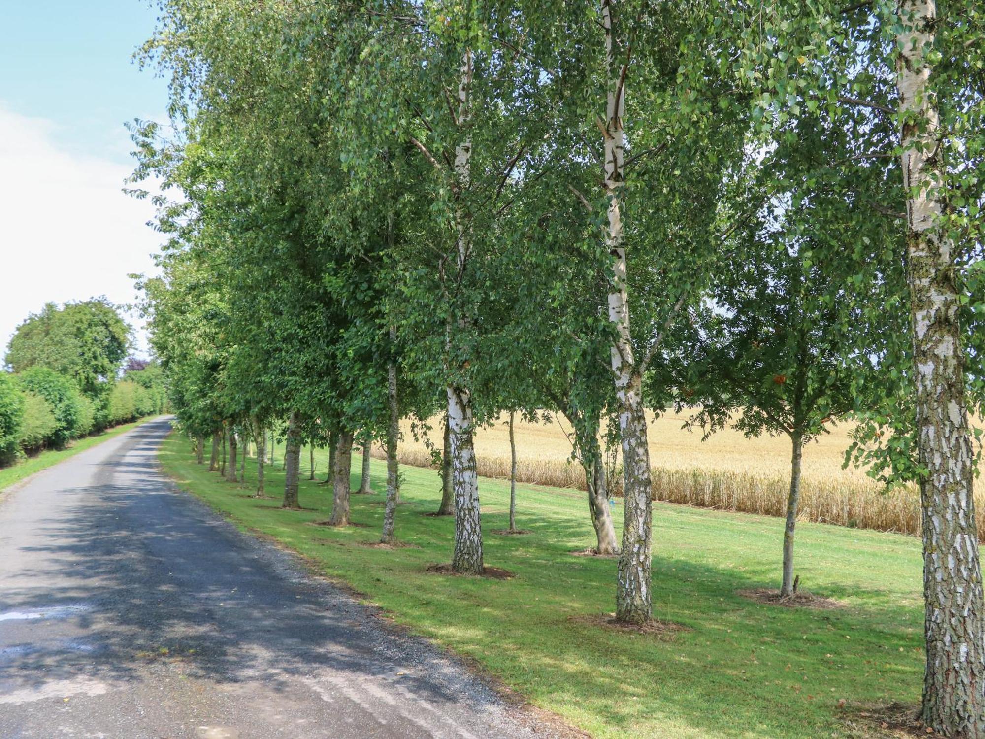 Villa Cornfield à Northallerton Extérieur photo